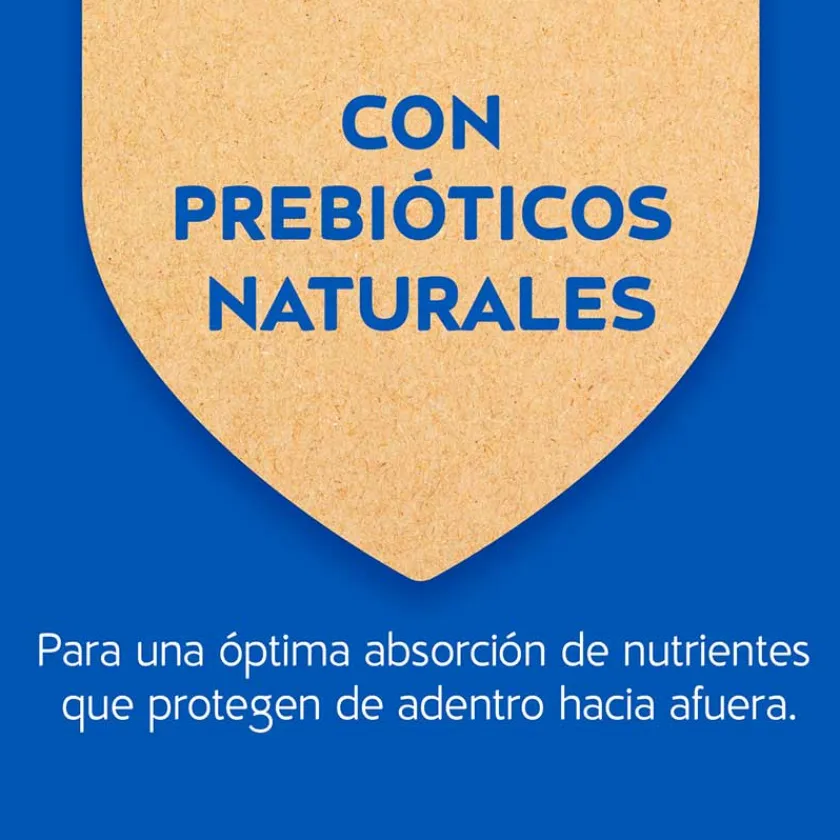 Cat Chow - Purina Adultos (1 A 7 Años)^Purina Cat Chow Adultos Carne con Defense Plus 8kg