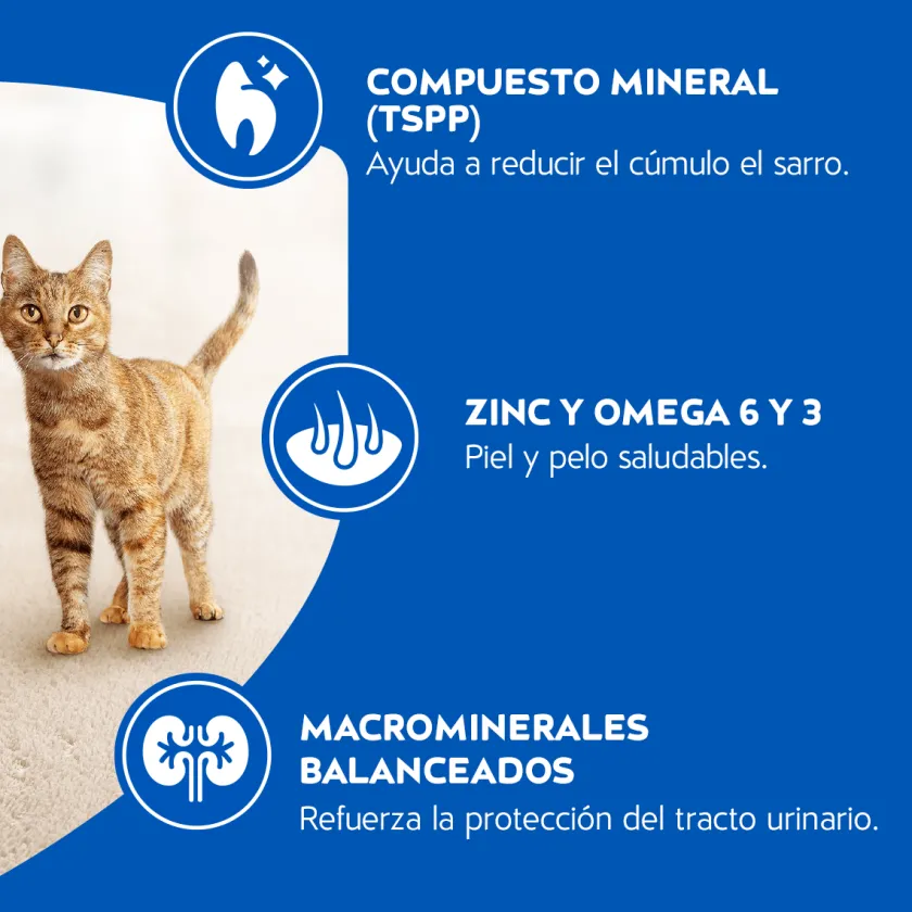 Cat Chow - Purina Adultos (1 A 7 Años)^Purina Cat Chow Adultos Carne con Defense Plus 19.5kg