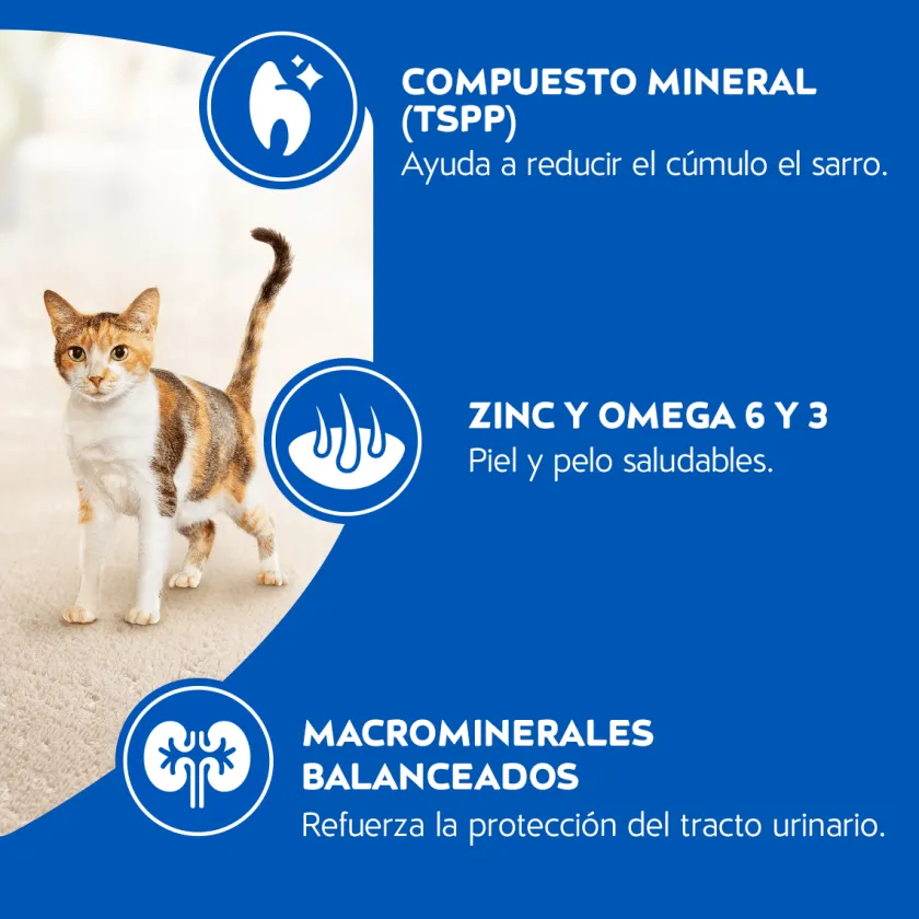 Cat Chow - Purina Adultos (1 A 7 Años)^Purina Cat Chow Adultos Delimix con Defense Plus 19.5kg