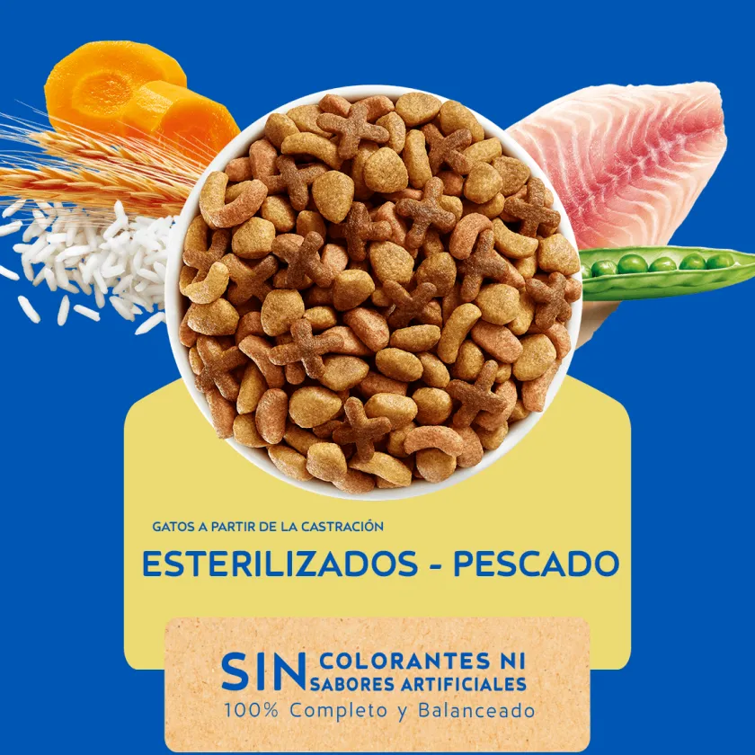 Cat Chow - Purina Castrados | Adultos (1 A 7 Años)^Purina Cat Chow Adultos Esterilizados con Defense Plus 24kg