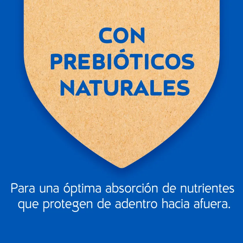 Cat Chow - Purina Castrados | Adultos (1 A 7 Años)^Purina Cat Chow Adultos Esterilizados con Defense Plus 3kg