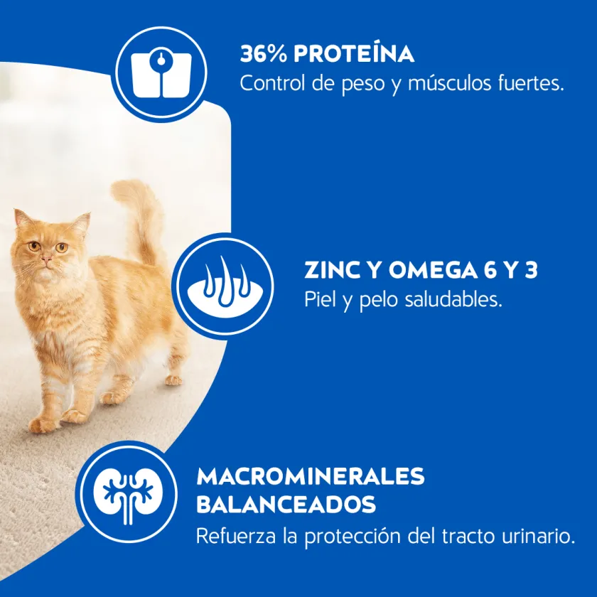 Cat Chow - Purina Castrados | Adultos (1 A 7 Años)^Purina Cat Chow Adultos Esterilizados con Defense Plus 3kg
