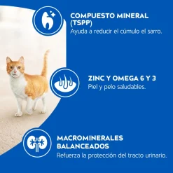 Cat Chow - Purina Adultos (1 A 7 Años)^Purina Cat Chow Adultos Pescado con Defense Plus 3kg
