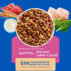 Cat Chow - Purina Gatitos (0 A 12 Meses)^Purina Cat Chow Gatitos 3kg