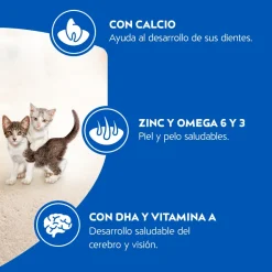 Cat Chow - Purina Gatitos (0 A 12 Meses)^Purina Cat Chow Gatitos 3kg