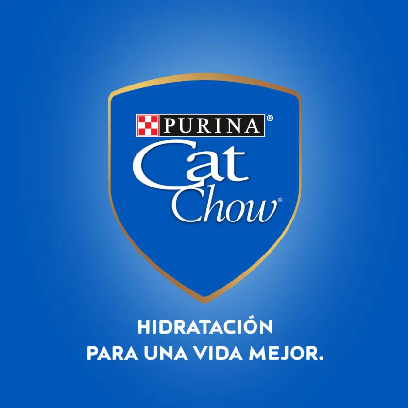 Cat Chow - Purina Húmedos^Purina Cat Chow Hydro Adultos Carne 85gr PACK 15 Unidades
