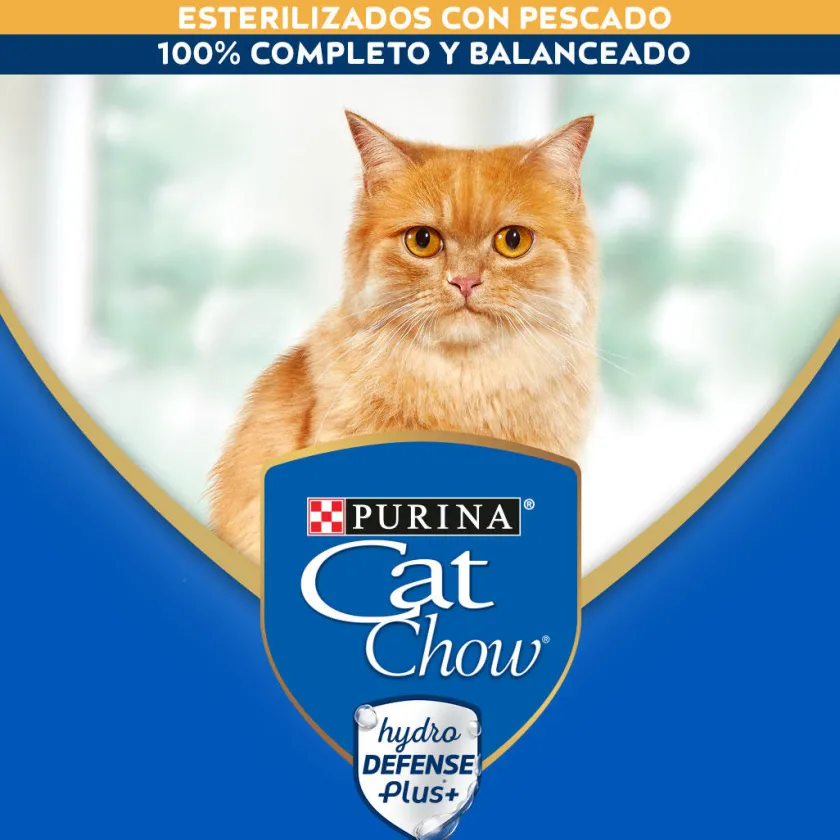 Cat Chow - Purina Húmedos | Castrados^Purina Cat Chow Hydro Castrados Pescado 85gr