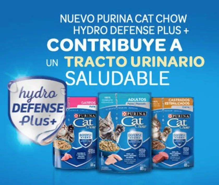 Cat Chow - Purina Húmedos^Purina Cat Chow Hydro Gatitos Carne 85gr PACK 15 Unidades