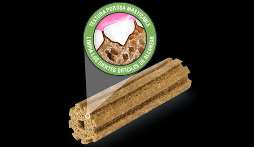 Dentalife Cuidado Dental | Dentales^Purina Razas Grandes 196gr