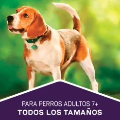 Dog Chow - Purina Senior (+7 Años)^Purina Dog Chow Adultos 7+ Longevidad 18kg