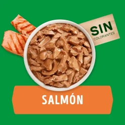 Dog Chow - Purina Húmedos^Purina Dog Chow Alimento Húmedo Adulto Razas Pequeñas Salmón 100gr