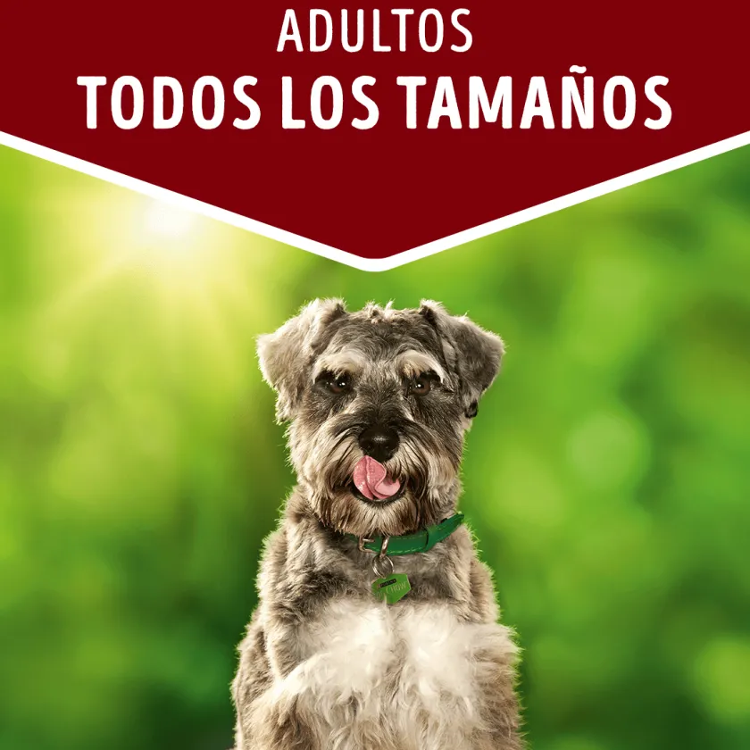 Dog Chow - Purina Húmedos^Purina Dog Chow Alimento Húmedo Adulto Cordero 100gr