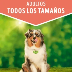 Dog Chow - Purina Húmedos^Purina Dog Chow Alimento Húmedo Adulto Pollo 100gr