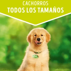 Dog Chow - Purina Húmedos^Purina Dog Chow Alimento Húmedo Cachorro Pollo 100gr