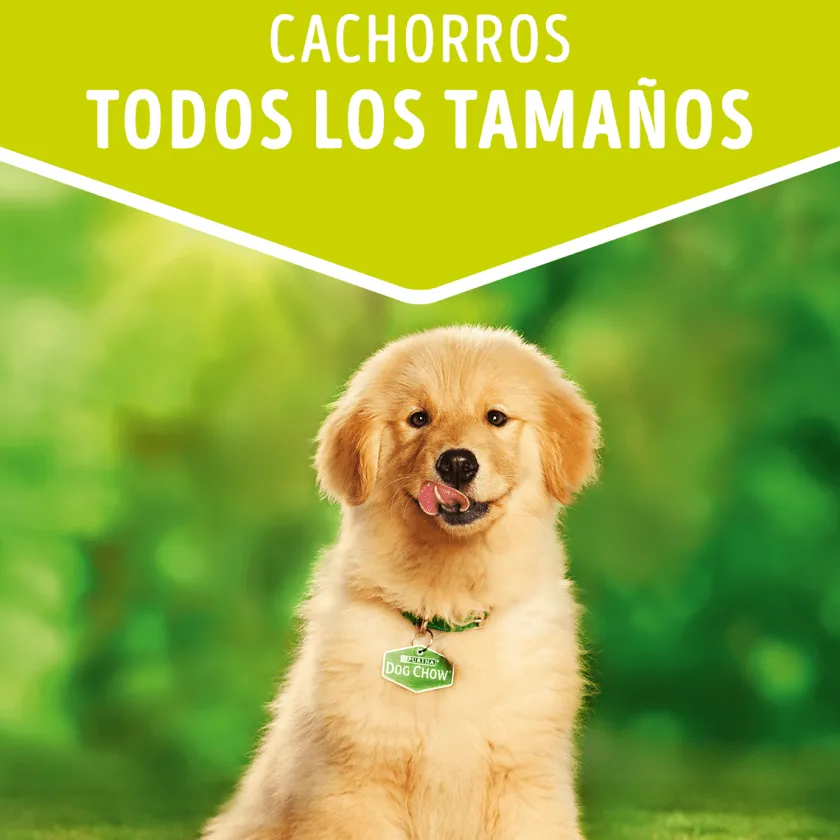 Dog Chow - Purina Húmedos^Purina Dog Chow Alimento Húmedo Cachorro Pollo 100gr