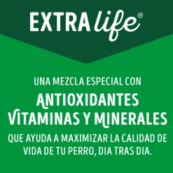 Dog Chow - Purina Húmedos^Purina Dog Chow Alimento Húmedo Adulto Cordero 100gr