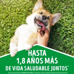 Dog Chow - Purina Húmedos^Purina Dog Chow Alimento Húmedo Cachorro Pollo 100gr