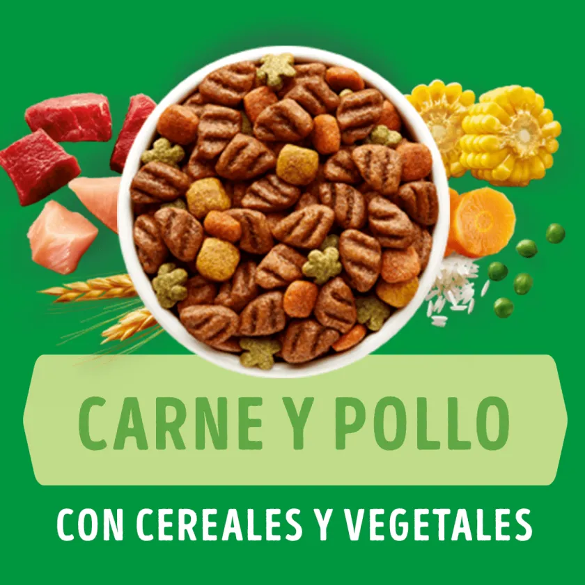 Dog Chow - Purina Cachorros (0 A 12 Meses)^Purina Dog Chow Cachorros Razas Medianas y Grandes 18kg