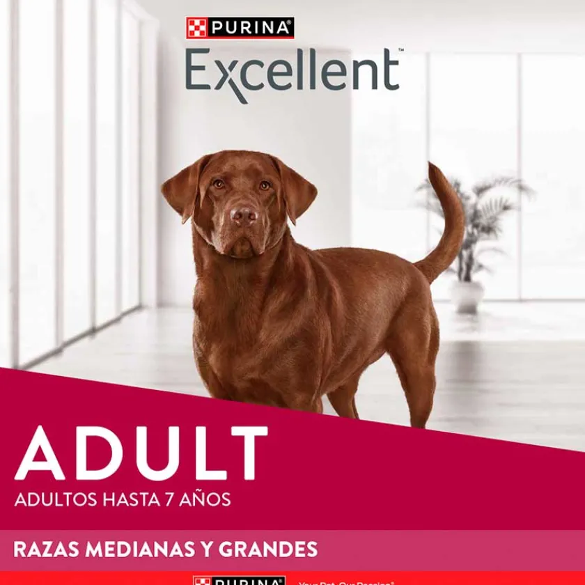 Excellent Adultos (1 A 7 Años)^Purina Adult Chicken & Rice Medium & Large Breed 15kg