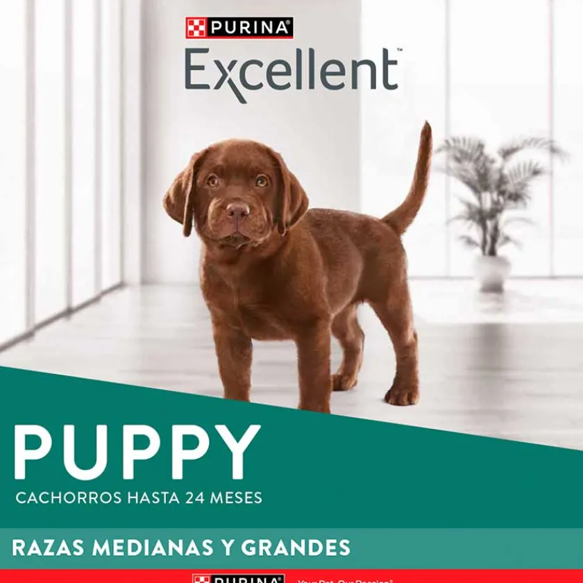 Excellent Cachorros (0 A 12 Meses)^Purina ® Cachorros Razas Medianas y Grandes 15kg