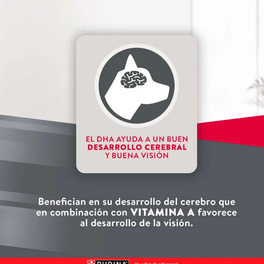 Excellent Cachorros (0 A 12 Meses)^Purina ® Cachorros Razas Medianas y Grandes 15kg