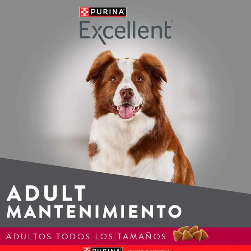 Excellent Adultos (1 A 7 Años) | Productos Outlet^Purina Maintenance Formula Adult 15kg