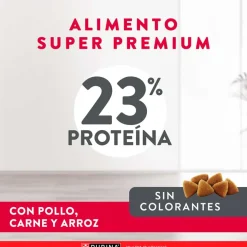 Excellent Adultos (1 A 7 Años) | Productos Outlet^Purina Maintenance Formula Adult 15kg