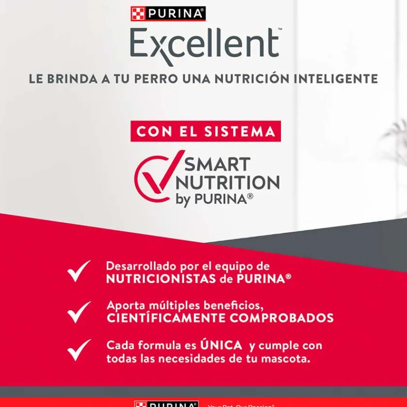 Excellent Adultos (1 A 7 Años) | Productos Outlet^Purina Maintenance Formula Adult 15kg