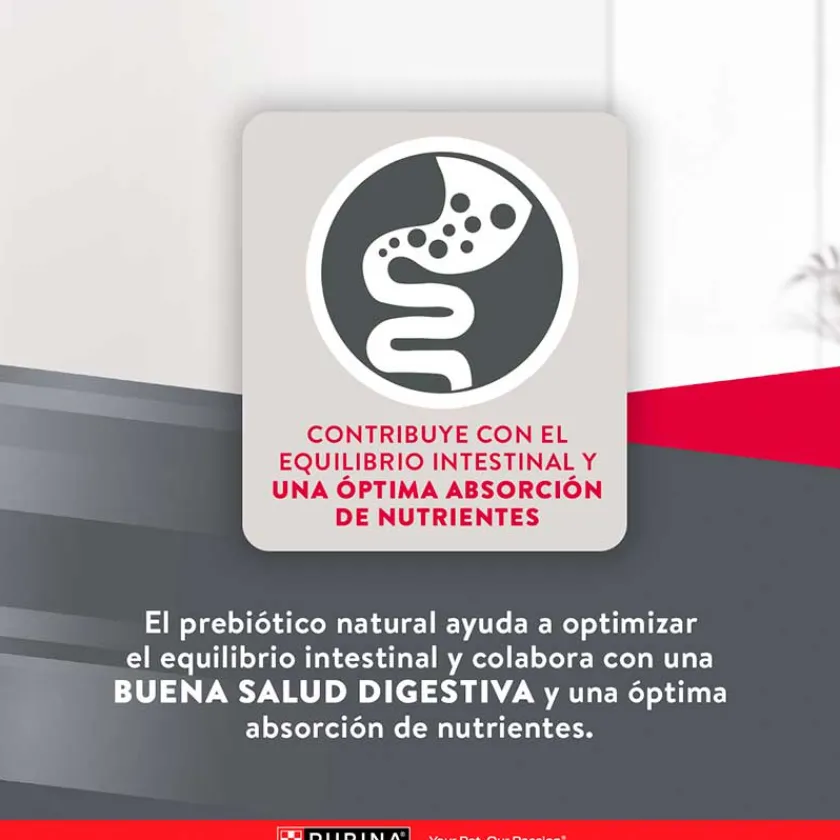 Excellent Adultos (1 A 7 Años) | Productos Outlet^Purina Maintenance Formula Adult 15kg