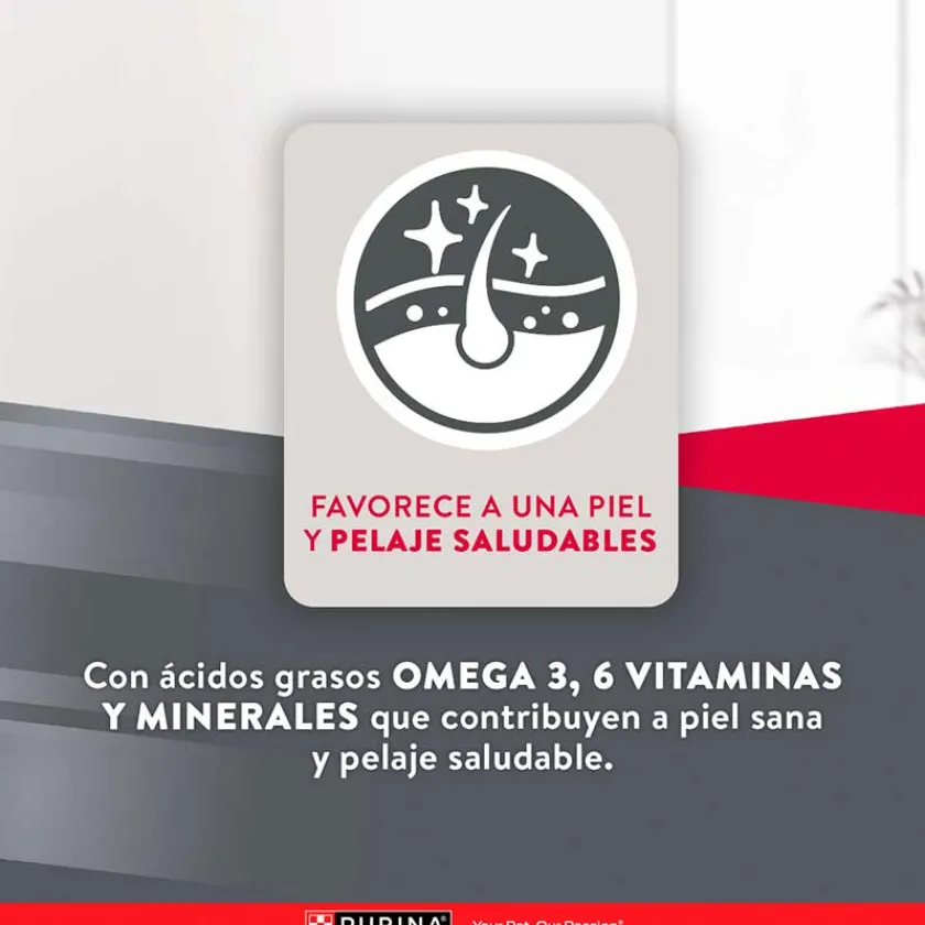 Excellent Adultos (1 A 7 Años) | Productos Outlet^Purina Maintenance Formula Adult 15kg