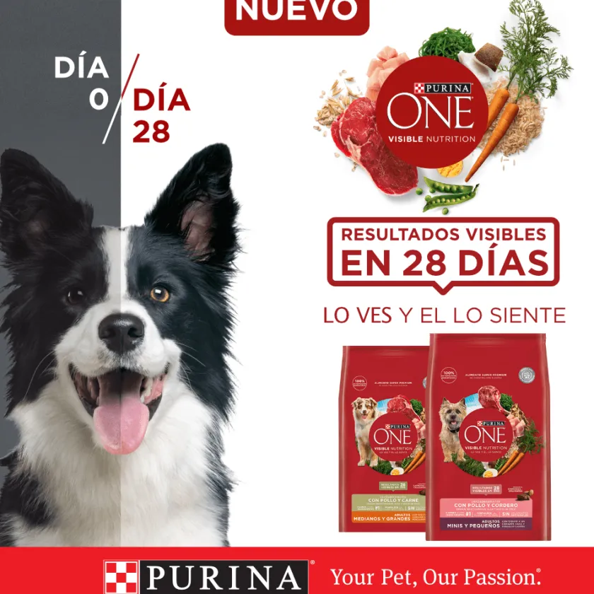 Purina One Adultos (1 A 7 Años)^PURINA® ONE® Adulto Mediano y Grande Pollo y Cordero 2kg