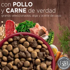 Purina One Adultos (1 A 7 Años)^PURINA® ONE® Adulto Mediano y Grande Pollo y Carne 6kg