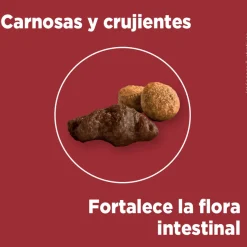 Purina One Adultos (1 A 7 Años)^PURINA® ONE® Adulto Mediano y Grande Pollo y Carne 12kg