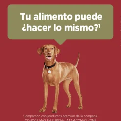 Purina One Adultos (1 A 7 Años)^PURINA® ONE® Adulto Mediano y Grande Pollo y Cordero 2kg