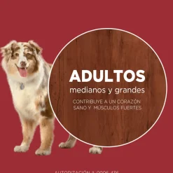 Purina One Adultos (1 A 7 Años)^PURINA® ONE® Adulto Mediano y Grande Pollo y Carne 6kg