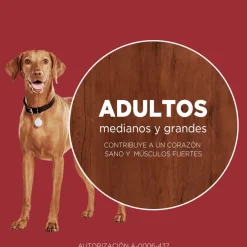 Purina One Adultos (1 A 7 Años)^PURINA® ONE® Adulto Mediano y Grande Pollo y Cordero 12kg