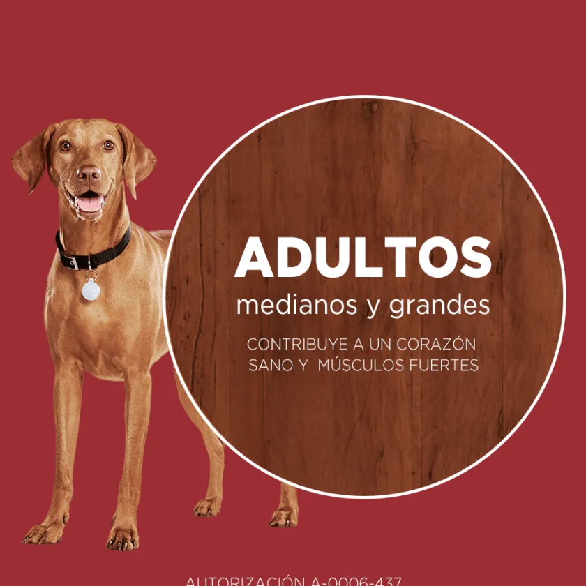 Purina One Adultos (1 A 7 Años)^PURINA® ONE® Adulto Mediano y Grande Pollo y Cordero 2kg