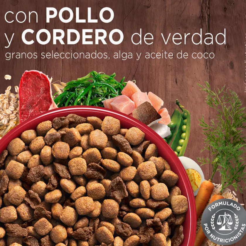 Purina One Adultos (1 A 7 Años)^PURINA® ONE® Adulto Mini y Pequeño Pollo y Cordero 2kg