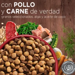 Purina One Adultos (1 A 7 Años)^PURINA® ONE® Adulto Mini y Pequeño Pollo y Carne 2kg