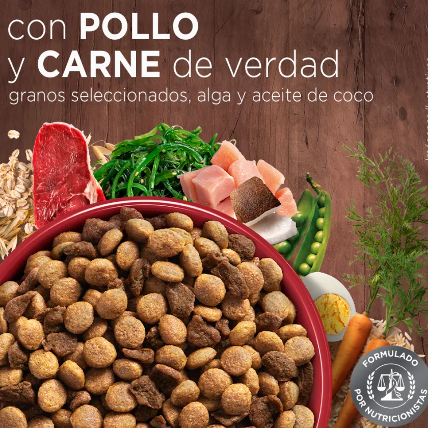 Purina One Adultos (1 A 7 Años)^PURINA® ONE® Adulto Mini y Pequeño Pollo y Carne 2kg