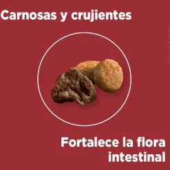 Purina One Adultos (1 A 7 Años)^PURINA® ONE® Adulto Mini y Pequeño Pollo y Carne 2kg