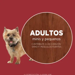 Purina One Adultos (1 A 7 Años)^PURINA® ONE® Adulto Mini y Pequeño Pollo y Cordero 6kg