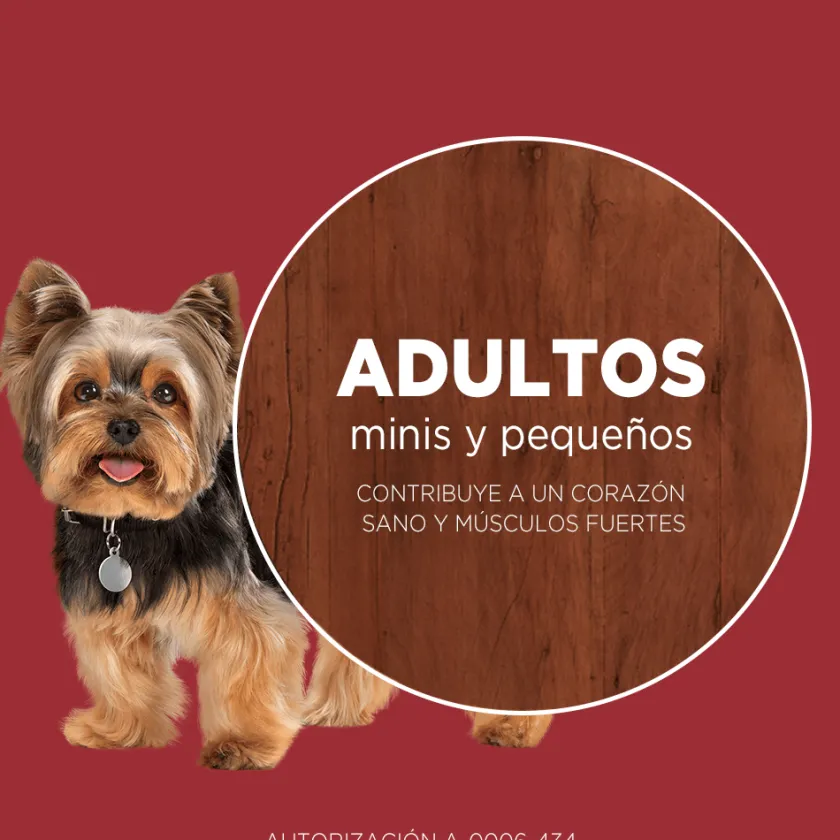 Purina One Adultos (1 A 7 Años)^PURINA® ONE® Adulto Mini y Pequeño Pollo y Carne 2kg