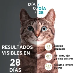 Purina One Adultos (1 A 7 Años)^PURINA® ONE® Adulto Pollo y Carne 2kg