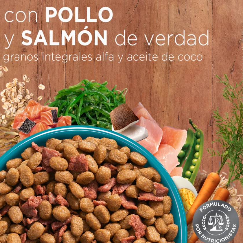 Purina One Adultos (1 A 7 Años)^PURINA® ONE® Adulto Pollo y Salmón 6kg