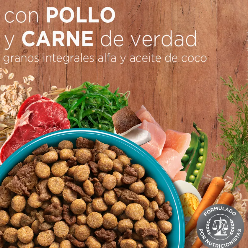 Purina One Adultos (1 A 7 Años)^PURINA® ONE® Adulto Pollo y Carne 2kg