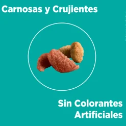 Purina One Adultos (1 A 7 Años)^PURINA® ONE® Adulto Pollo y Salmón 2kg