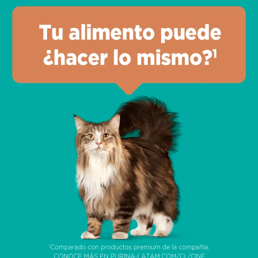 Purina One Adultos (1 A 7 Años)^PURINA® ONE® Adulto Pollo y Salmón 6kg