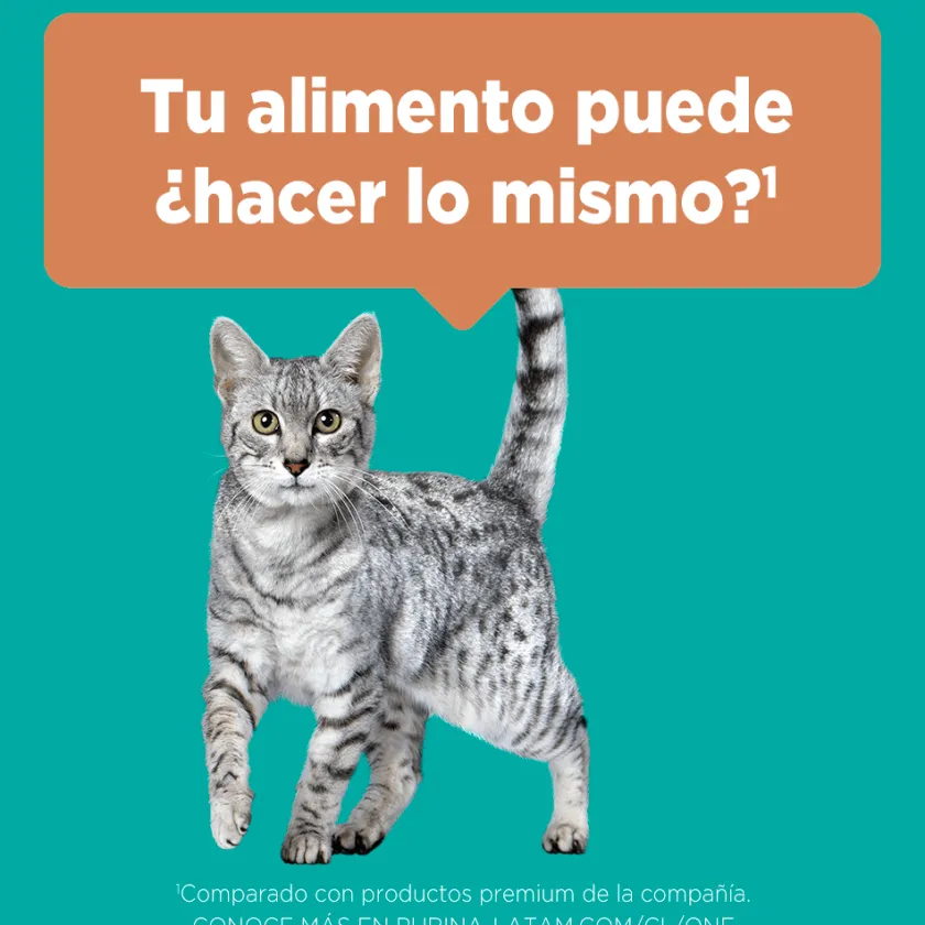 Purina One Adultos (1 A 7 Años)^PURINA® ONE® Adulto Pollo y Carne 2kg