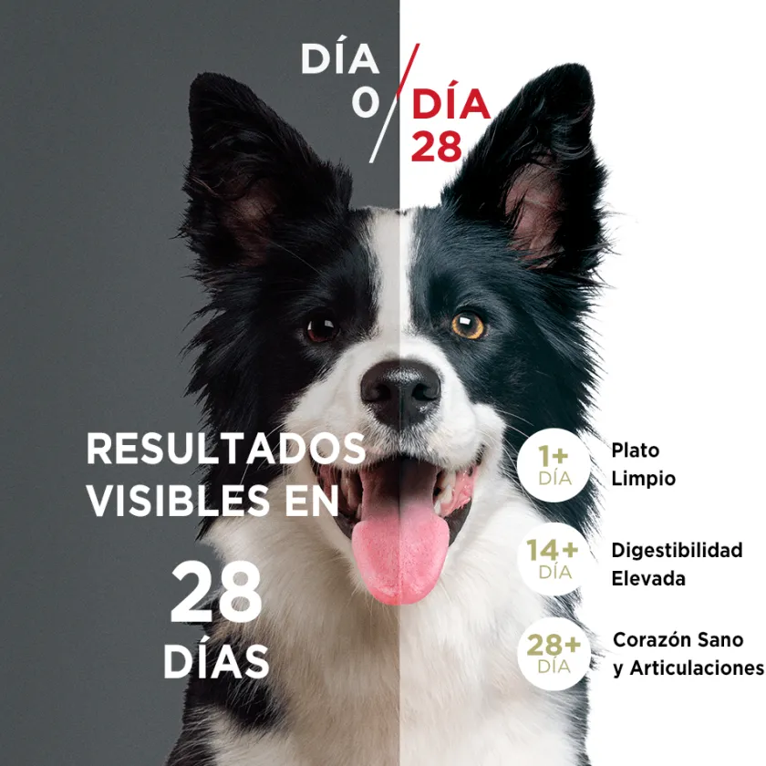 Purina One Cachorros (0 A 12 Meses)^PURINA® ONE® Cachorro Pollo y Carne 12kg
